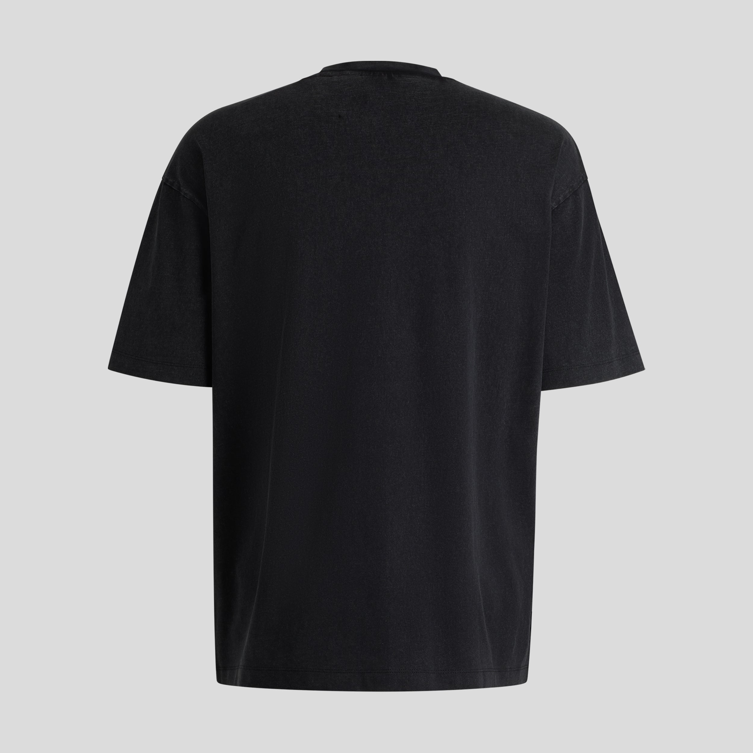 Visa Cash App RB F1 Washed Tee Mens - Black